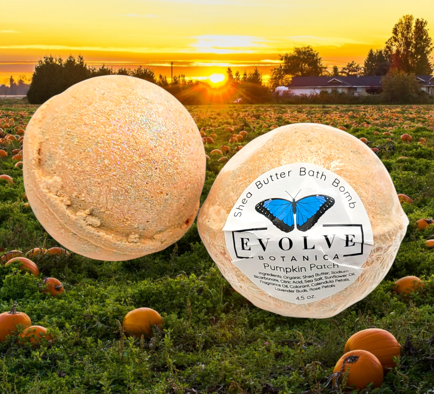 Bath Bomb - Pumpkin Patch