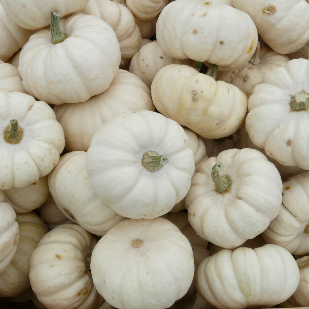 Seasonal